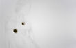 Melissa Provezza, (Un)glory holes#003, olio e occhielli di alluminio su tela, cm70x90