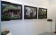 Green Minds – Arte Fiera 2014