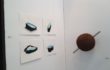 Green Minds – Arte Fiera 2014