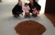 Green Minds – Arte Fiera 2014