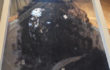 Caterina Sbrana “Nero Fiammingo”