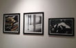 Veduta della mostra CHECK POINT | Benyamin Reich, Fabrizio Pozzoli, Lea Golda Holterman