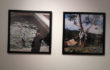 Veduta della mostra CHECK POINT | Benyamin Reich, Fabrizio Pozzoli, Lea Golda Holterman