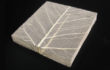 1_L’orMa_30x21cm_intervento manuale su foglia di gelso_2015