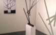 Alberto Zilocchi | Rilievi e Linee