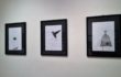 Andrea Mazzola – Allestimento On Paper