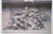 Filippo Centenari – Athena Pergamo  – per On Paper