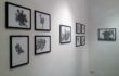 Paolo Gianni – Allestimento On Paper