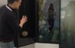 Arte Fiera 2017 – L’orMa – Apertura Trittico Il Giadino delle Delizie