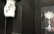 Opere L’orMa 5 in arte fiera 2018 per Spazio Testoni