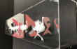 Opere L’orMa 6 in arte fiera 2018 per Spazio Testoni